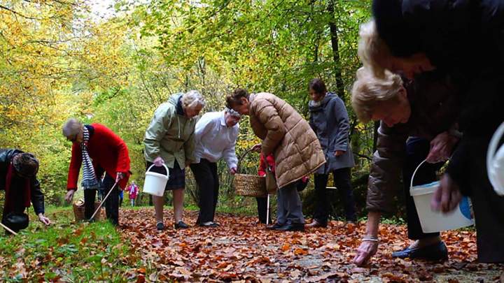 Des animations adaptées pour tous conçues pour passer un bon moment