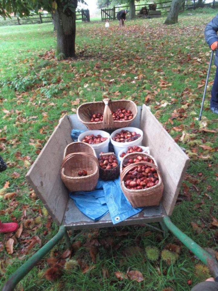 Sortie culturelle Bagnoles-de-L'Orne